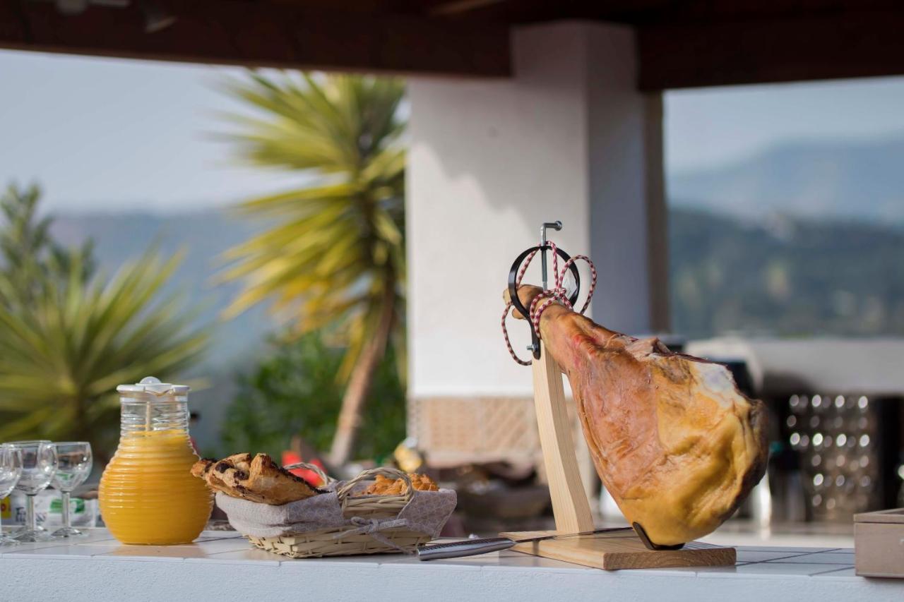 Finca La Vida Tranquila Vélez-Málaga Kültér fotó