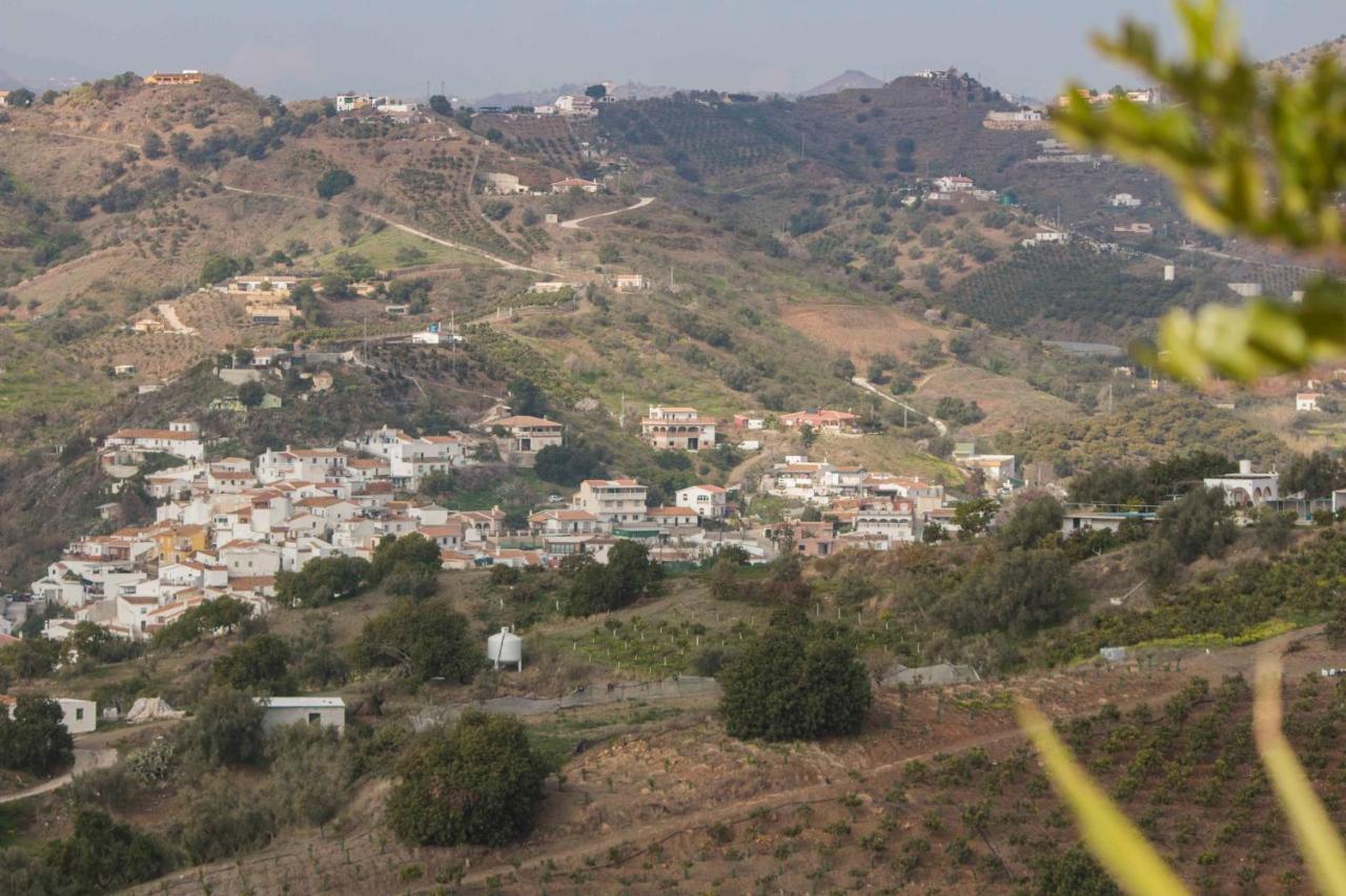 Finca La Vida Tranquila Vélez-Málaga Kültér fotó